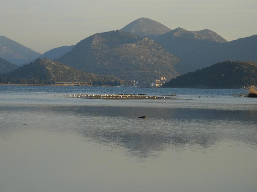 Apartmani Delija