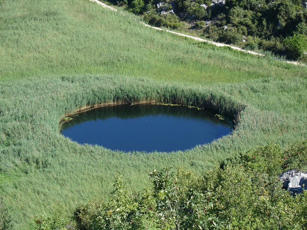 Delija Klek